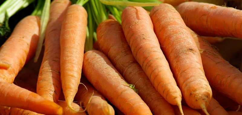 Wortelen - Carrots -- supergezonde groenten