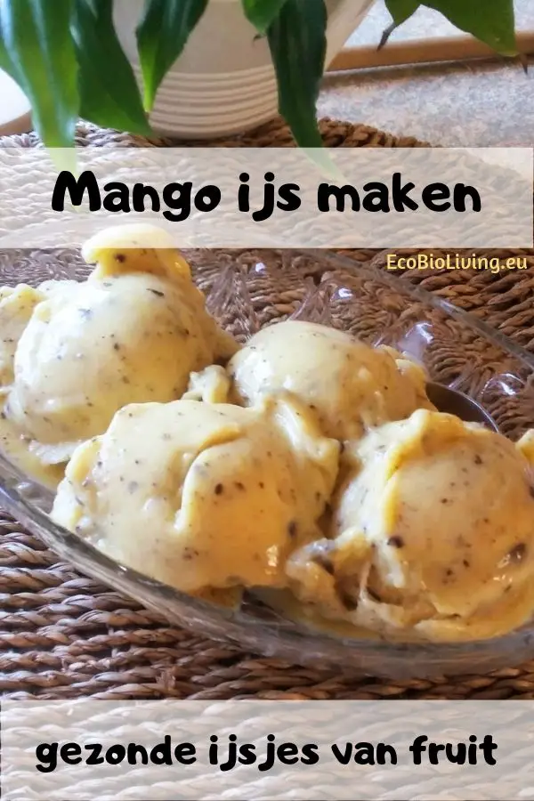 Mango ijs met chocoladestukjes erin - zelf gezonde mango ijsjes maken